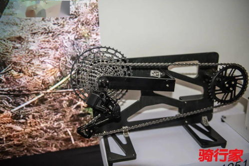 中国展丨走走逛逛 中国展都有些什么