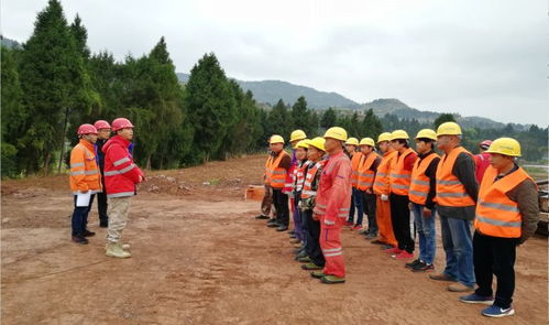 项目动态 车料行业最新进展与未来展望