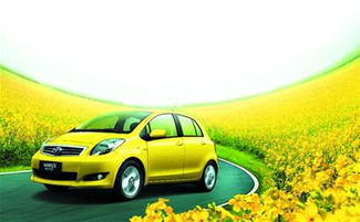 烂漫4月 驱车赏花 车料